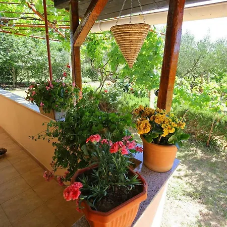 Nena Daire Poljica (Zadar)