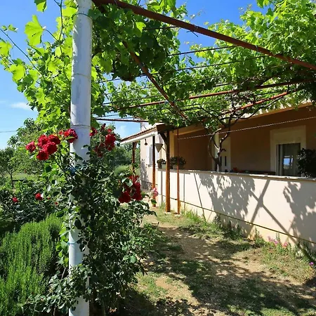 Apartment Nena